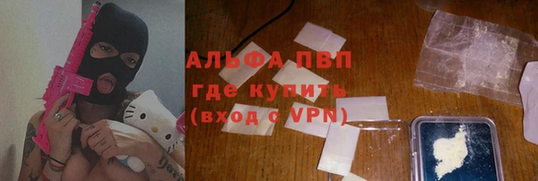 прущие грибы Нязепетровск