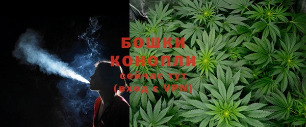тгк Нягань