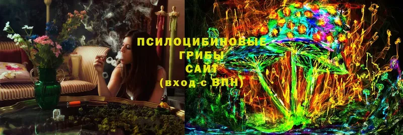 Галлюциногенные грибы Psilocybine cubensis  Безенчук 